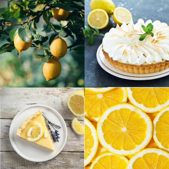 Zitronentarte | Kuchen | Limited Edition | Duftkerze, Sojawachs